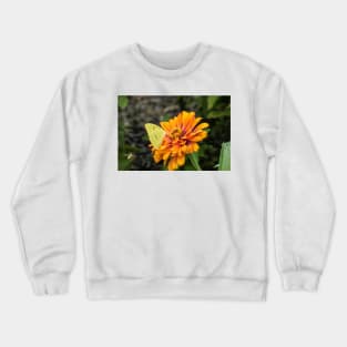 Alfalfa Butterfly on Flowers Crewneck Sweatshirt